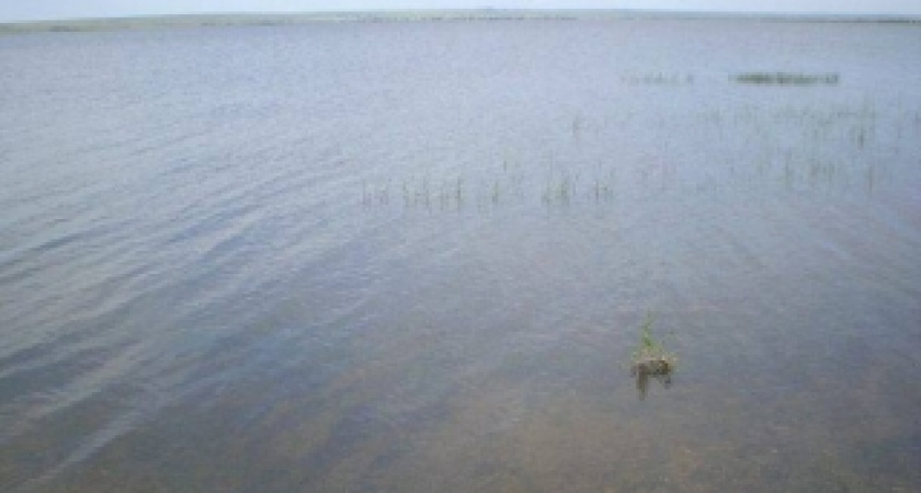 На берегу Ириклинского водохранилища найдено тело мужчины, пропавшего в ноябре прошлого года