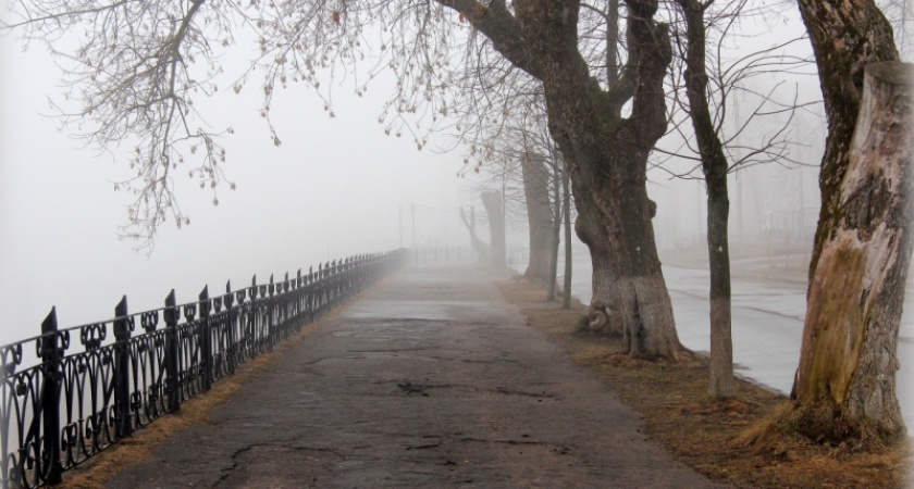 Синоптики: сегодня в Оренбуржье дождь, туман, усиление ветра до 19 м/с