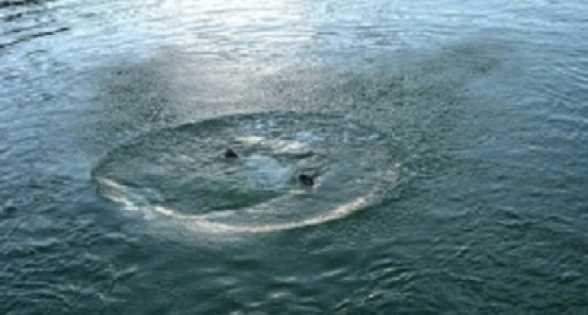 В Оренбургском районе в озере утонул мужчина