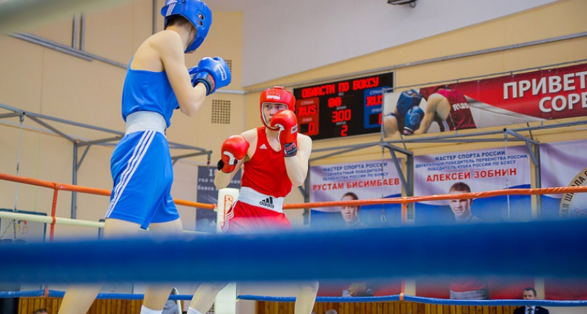 «Золото» оренбуржцев. В областном центре завершился региональный боксерский турнир