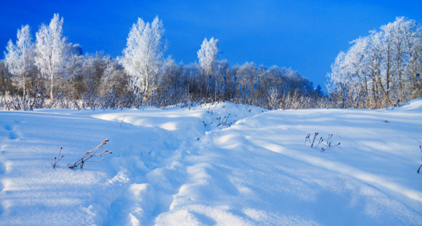 Снег, воскресенье, облака. Прогноз оренбургской погоды на 10.02.19 г.