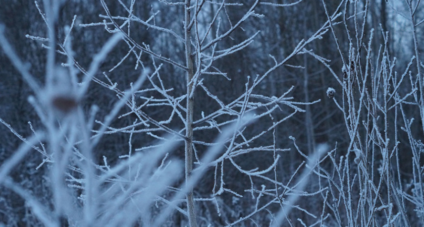 Зима не отступает. Прогноз оренбургской погоды на 13.03.19 г.