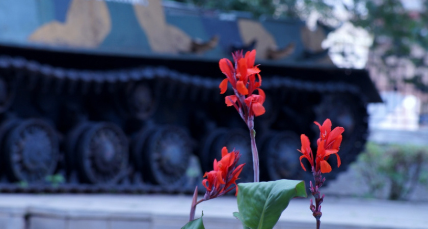 Танк и синичка. Фотопрогулка Татьяны Абросимовой по цветущему Оренбургу