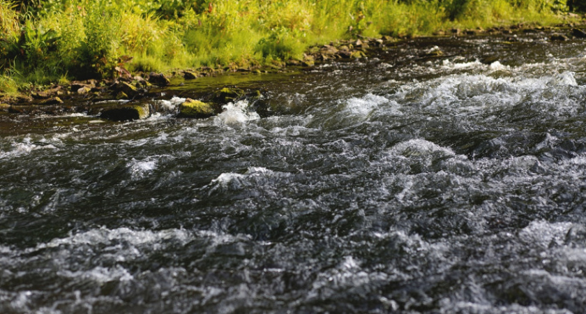 Медный верх. Ольга Сметанникова о реке Бузулукского бора