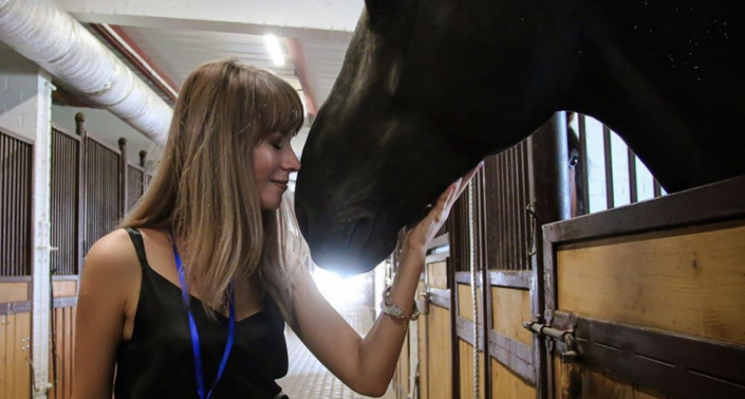 Лошади – большие кошки. Впечатления оренбургских блогеров об открытии КСК «Дубровский»