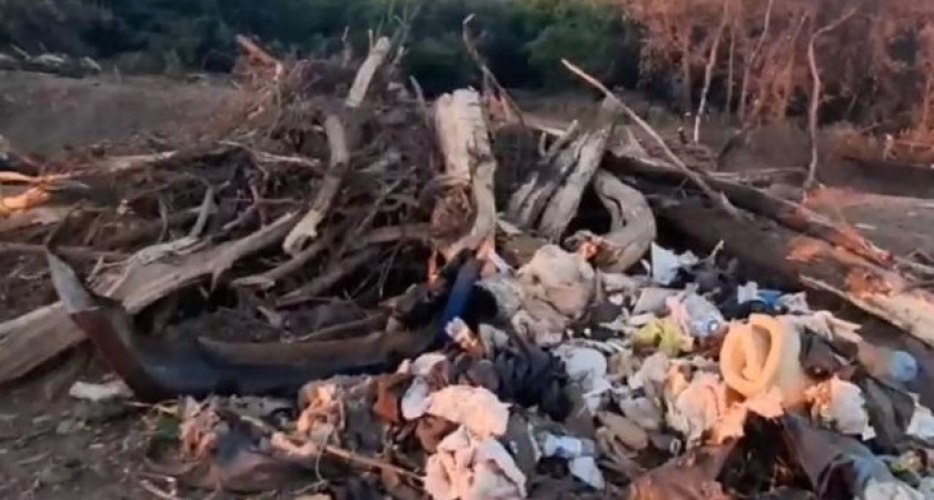 Место крушения оренбургского Ил-76 в Рязани превратили в свалку, видео