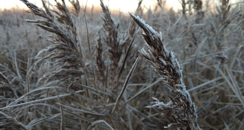 На территории Оренбургской области ожидаются заморозки