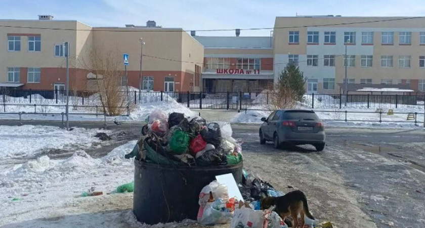 В Оренбурге мусорка у школы стала кормушкой для ворон и собак