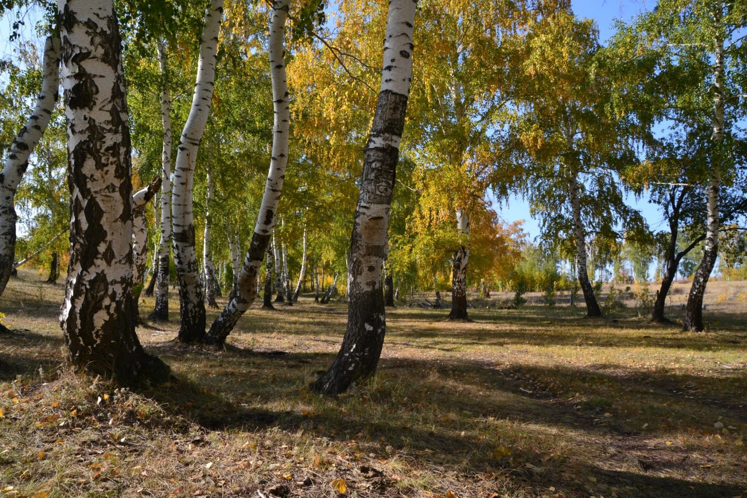 новотроицк достопримечательности города