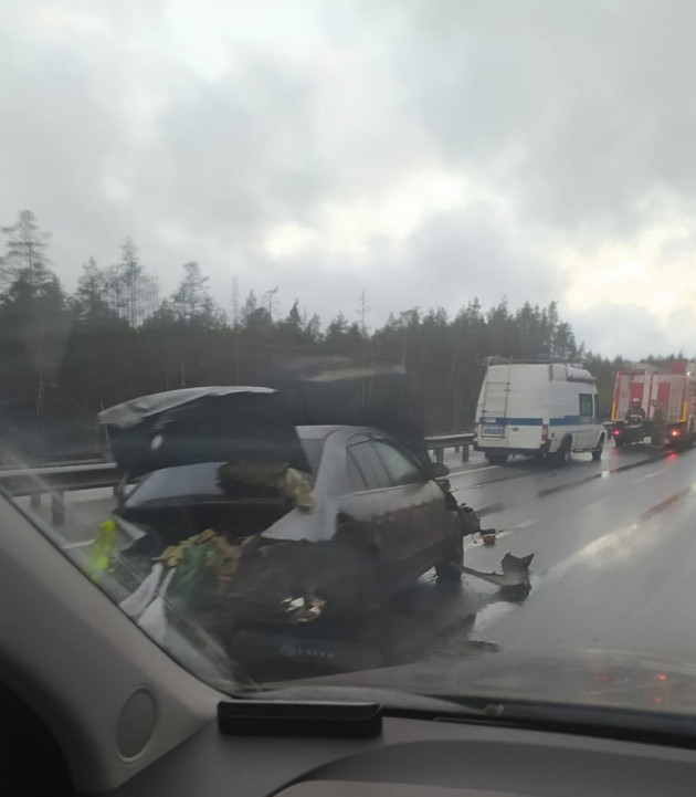 В Ленинградской области после ДТП из автомобиля с оренбургскими номерами выпал труп
