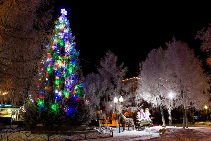 Где в Оренбурге установили новогодние елки? 