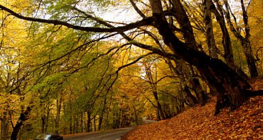 В Украину идет потепление до +15 градусов