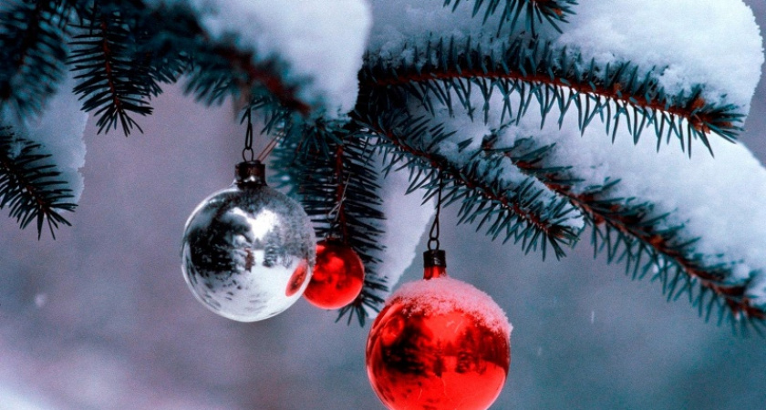 Расписание открытия ёлок в Оренбурге