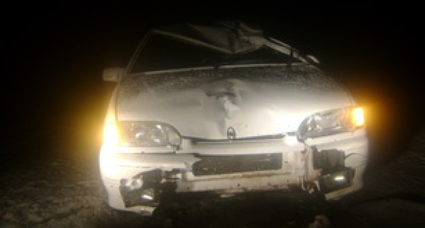 В Александровском районе автомобиль сбил лошадь