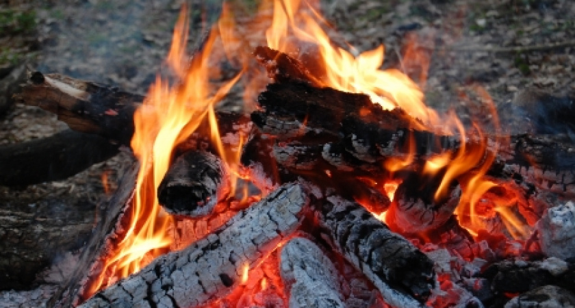 В Октябрьском районе ребенок упал в костёр и обжёг руки