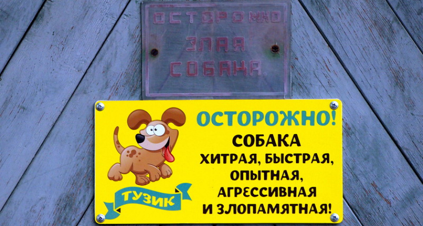 Фото дня: Про очень злого Тузика
