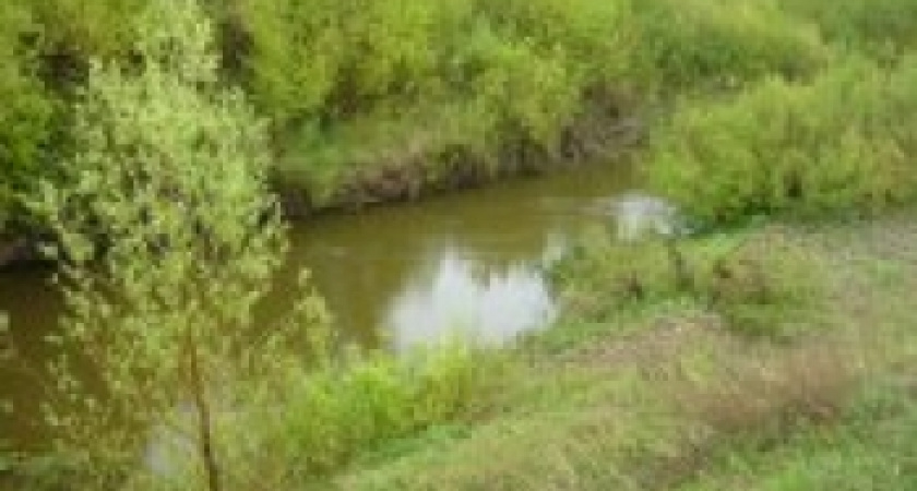 В Бузулукском районе рыбак утонул в озере