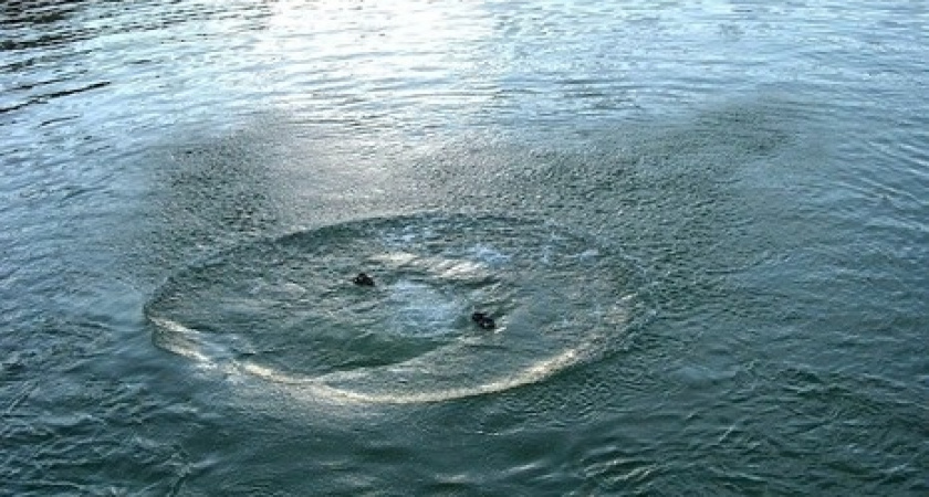 Житель Адамовского района утонул в реке во время купания