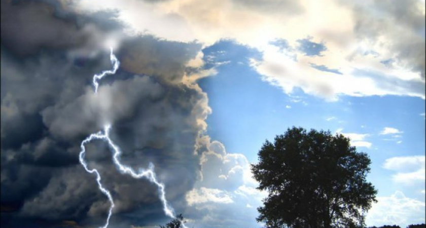 В Оренбуржье сохраняется дождливая и жаркая погода