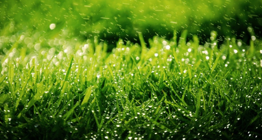 Дожди в Оренбургской области прекратятся с понедельника