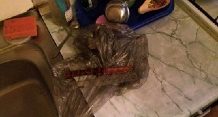 В Оренбурге студент педуниверситета подозревается в убийстве отца