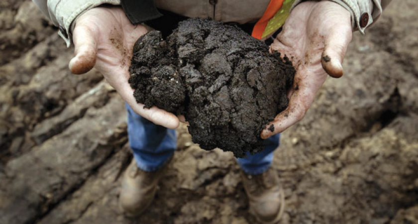 В Переволоцком районе заведены дела о загрязнении земель нефтепродуктами