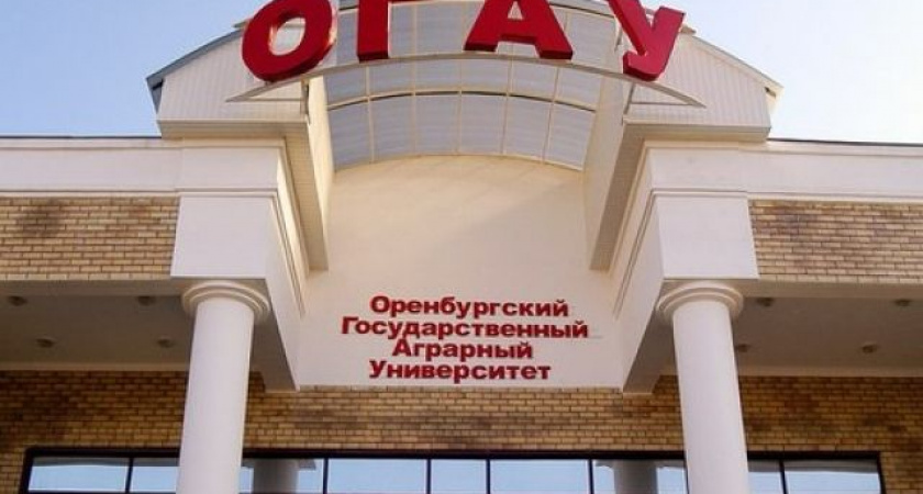 50 000 рублей за зачеты: в Оренбурге преподаватель обвиняется во взяточничестве и подлоге
