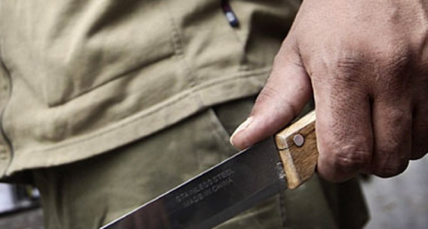 Пьяный новотройчанин напал на женщину с ножом и палкой