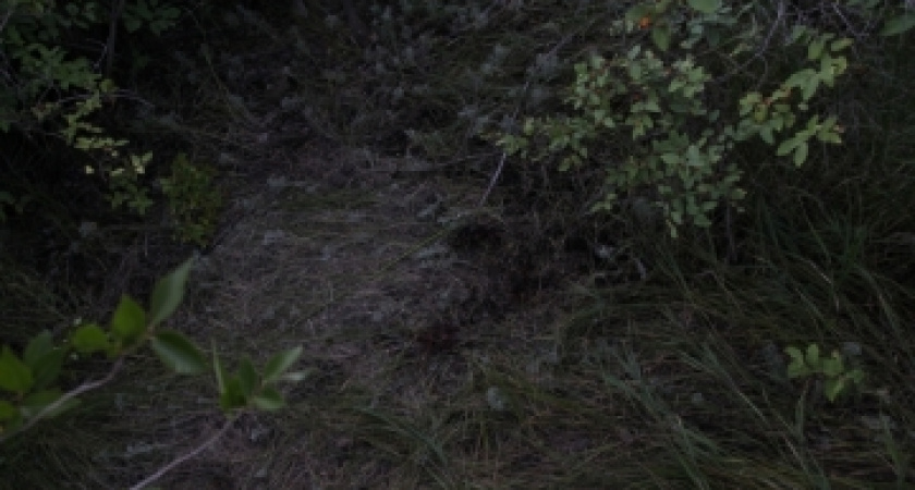 Жителя Новотроицка приговорили к 17 годам строгого режима за убийство восьмилетнего ребенка