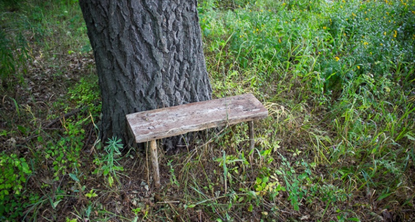 Фото дня: Лавочка