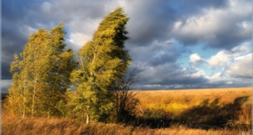 Погода в Оренбуржье: жара и сильный ветер