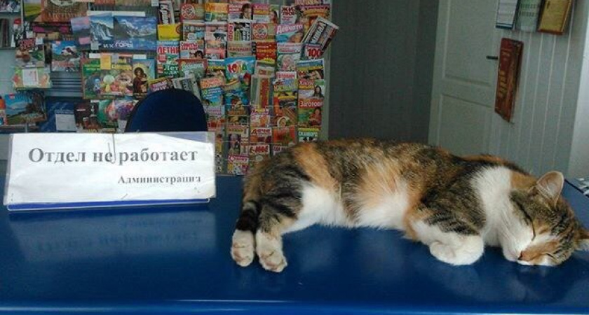 Фото дня: Отдел не работает