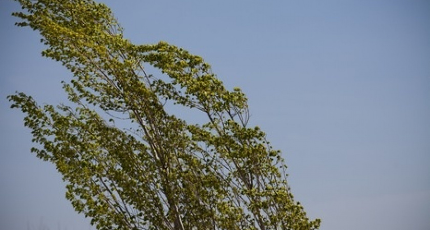 Понедельник в Оренбуржье будет ветреным и жарким