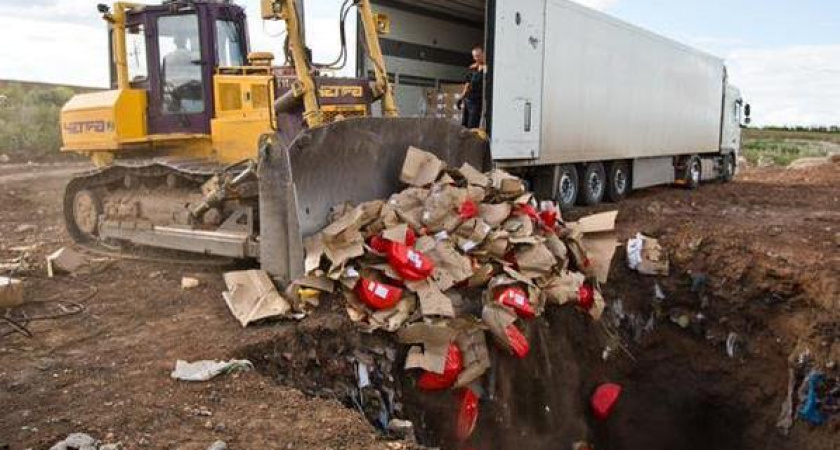 ОПРОС: «Как вы относитесь к Указу президента об уничтожении санкционных продуктов?»