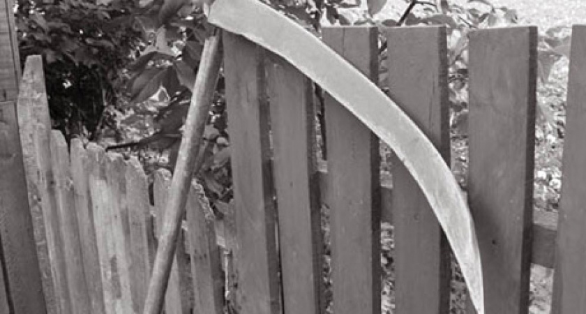 В Саракташском районе сельчанин напал с косой на судебного пристава