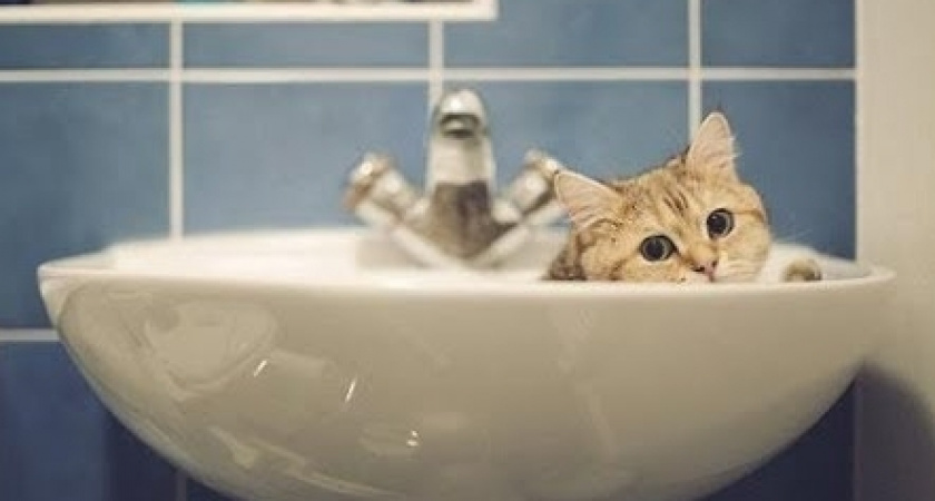 20 августа на трех улицах в Оренбурге не будет холодной воды