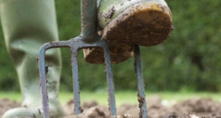 Житель Адамовского района избил соседа вилами