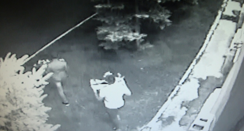 В Оренбурге с фасада музея украли кашпо с цветами