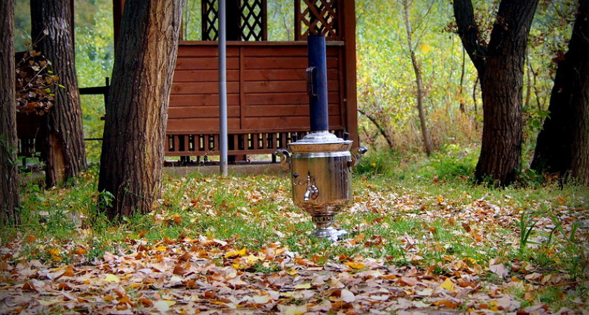 Фото дня: Осенний день