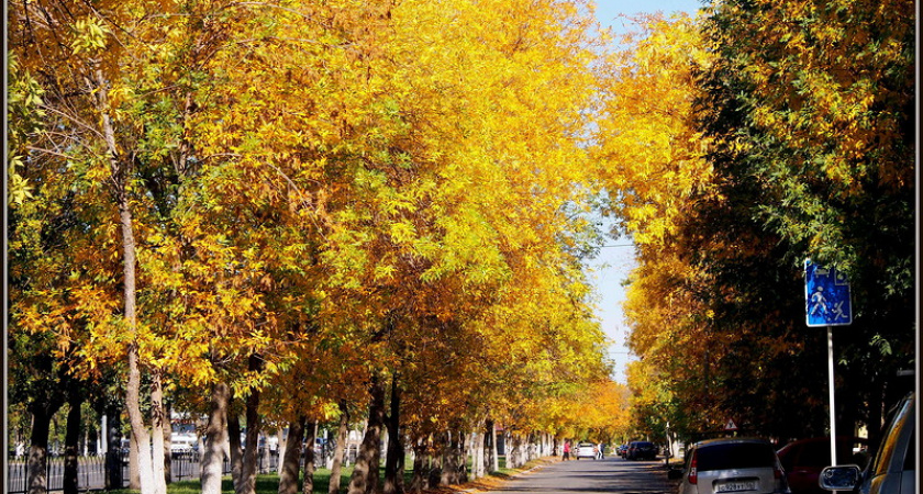 В Оренбуржье установилась аномально жаркая погода