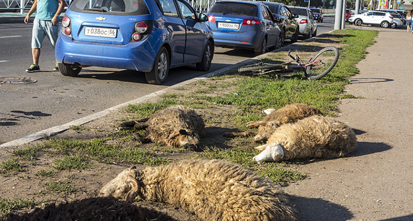 Фото дня: Курбан-байрам