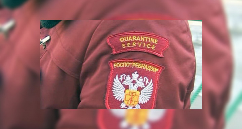 В Оренбуржье мошенники выдают себя за сотрудников Роспотребнадзора