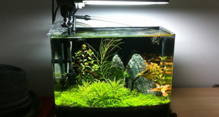 В Гае годовалый ребенок разбил аквариум и поранился об осколки