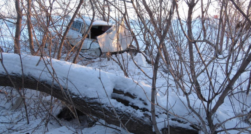 Был пьян и врезался в дерево: в Оренбуржье по факту ДТП возбуждено уголовное дело