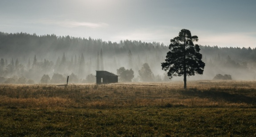 Фото дня: чудеса случаются каждый день