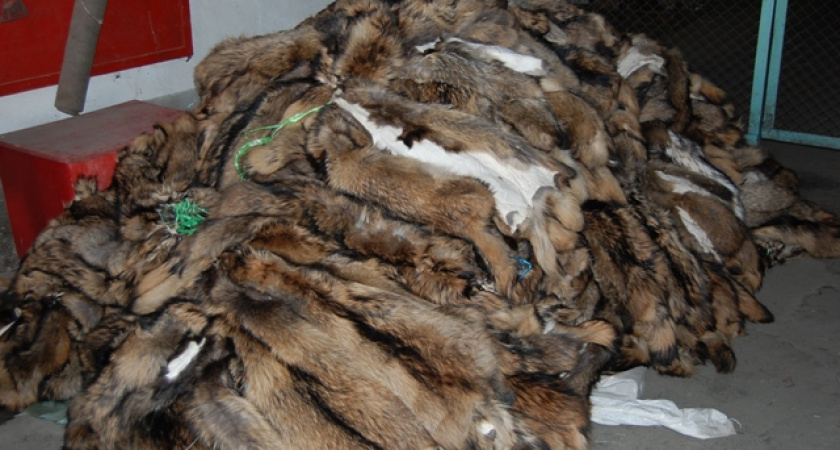 В Первомайском районе на границе задержана контрабанда меховых изделий