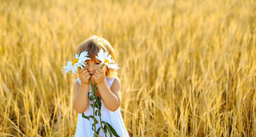 Фото дня: всем тепла, улыбок и ромашек!