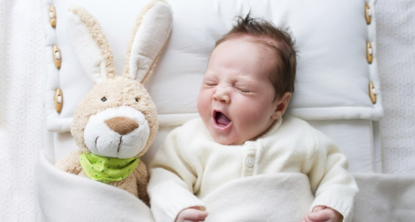 В Оренбурге родились Сэм, Афина и Милорада