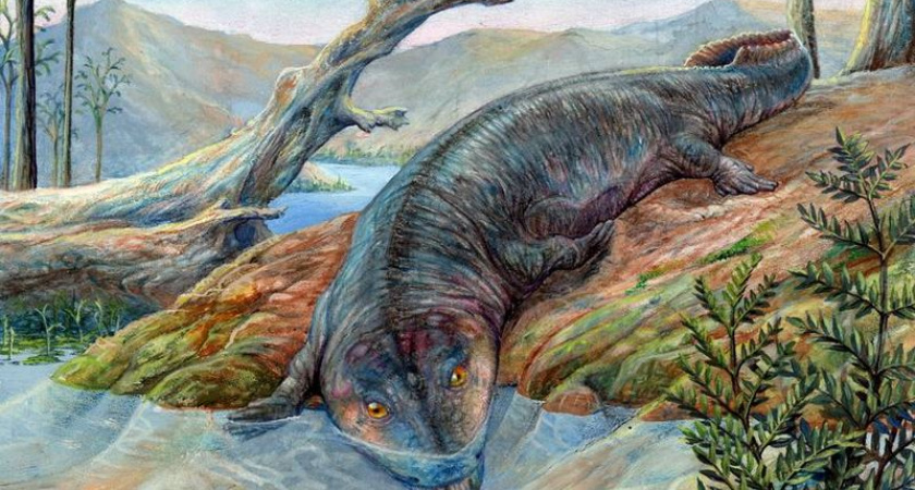 Под Оренбургом обнаружен череп древней рептилии