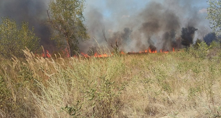 Причиной пожара в районе Ивановского водозабора стало неосторожное обращение с огнем